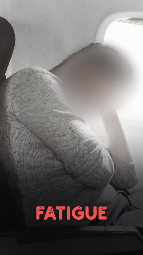 Sleeper Hold Travel Pillow The King of Travel Pillows